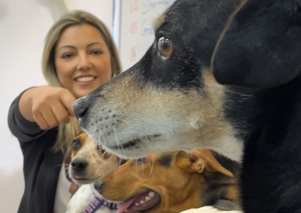Carreta Pet promove capacitação profissional e cuidado animal em Capivari