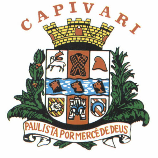 capivari câmara municipal de capivari lei orgÂnica